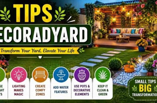 Tips Decoradyard: Ultimate Home & Garden Guide