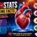 Hearthstats Interesting Facts: Ultimate Guide 2026