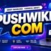 Pushwiki com Review 2026: Is It Worth It?
